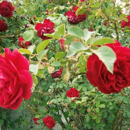 B&B S'Arrosa Antiga Santadi Екстер'єр фото
